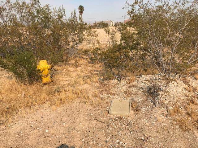 34759 Baldwin Street - Photo 1
