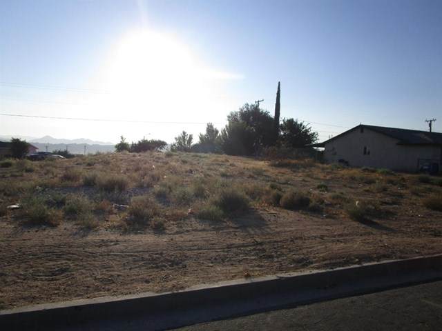0 Tawney Ridge Road - Photo 1