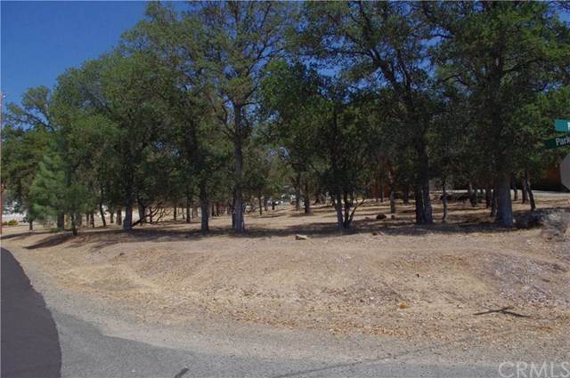 19629 Park Ridge Drive - Photo 1