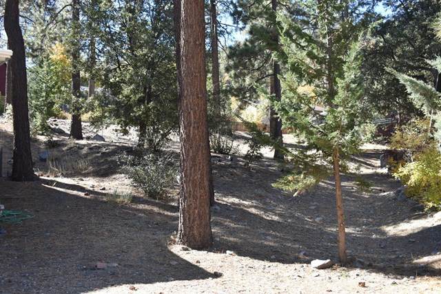 0 Robin Circle Drive - Photo 1