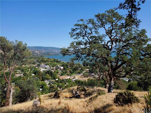 3336 Knob Street - Photo 1