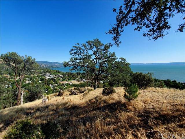 3346 Knob Street - Photo 1