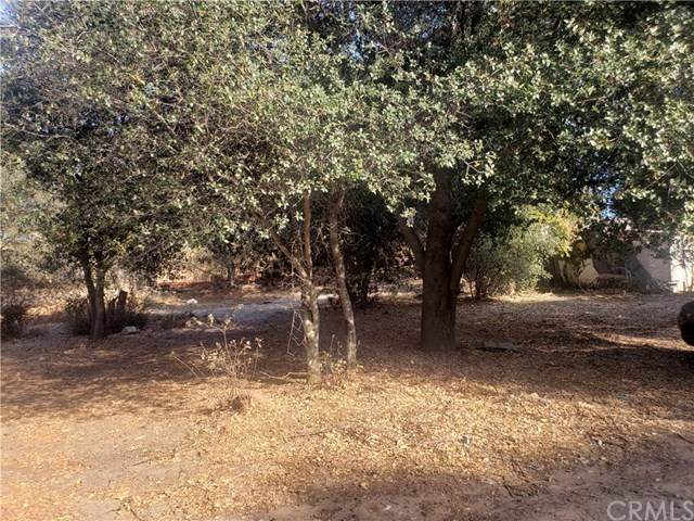 3296 12th Street - Photo 1