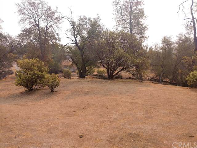 0-Lot 856 Deep Forest Dr - Photo 1