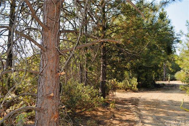 1 Fawn Point - Photo 1