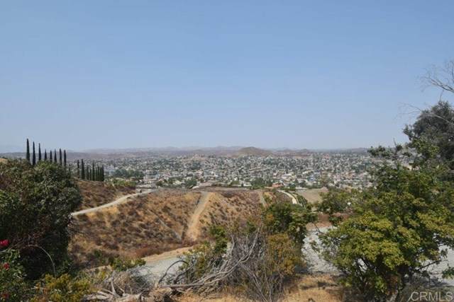30742 Sorrel Lane - Photo 1