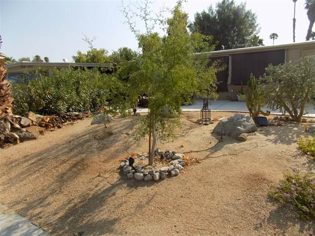1010 Palm Canyon Dr - Photo 1