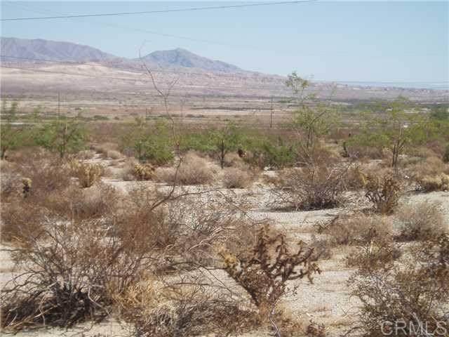 Smoke Tree Lane - Photo 1