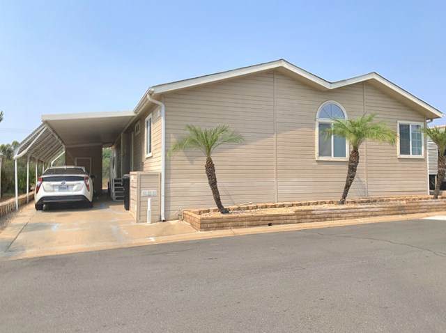 15420 Olde Highway 80 - Photo 1
