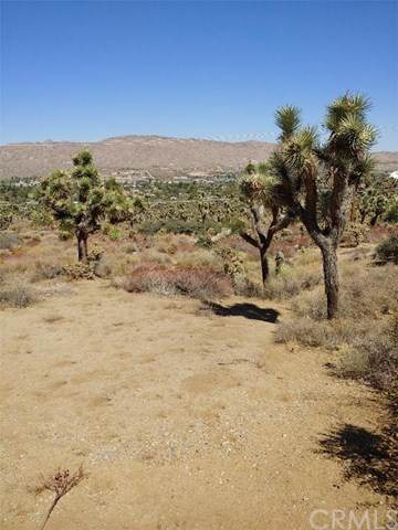 55650 Desert Gold Drive - Photo 1