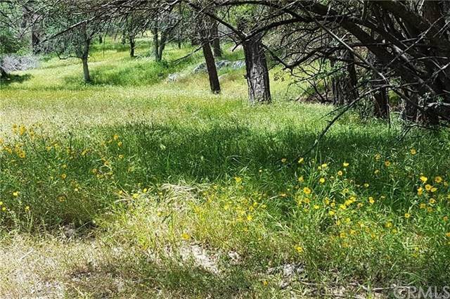 0-Lot 2 Misty Ridge Road - Photo 1