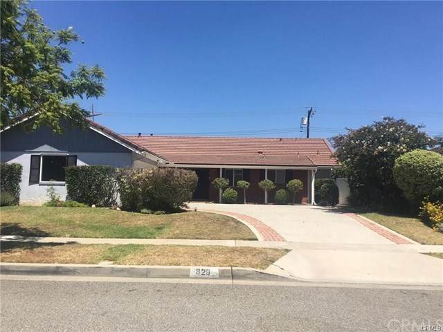829 Bernard Drive - Photo 1