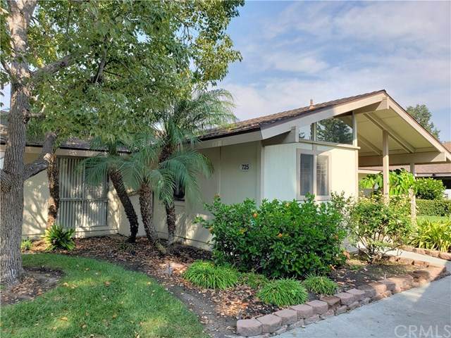 725 Avenida Majorca - Photo 1