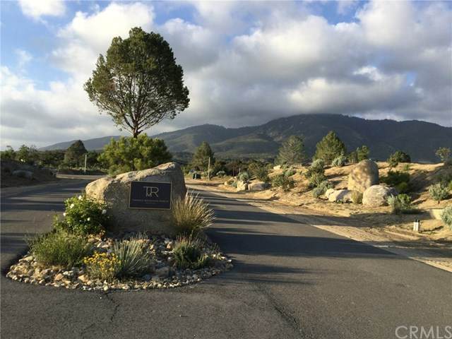 55025 Roadrunner Way - Photo 1