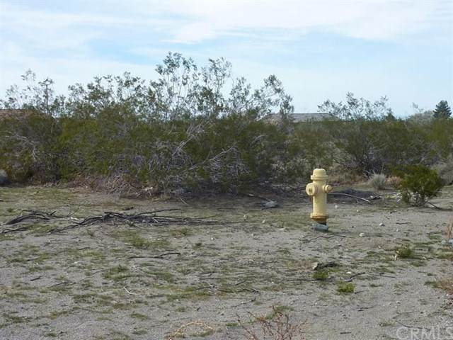 4580 Chevoit Road - Photo 1