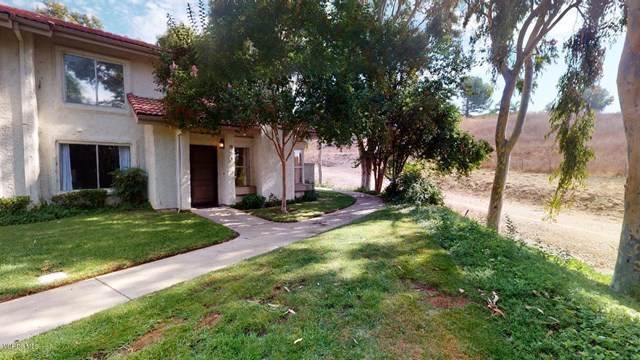 930 Quarterhorse Lane - Photo 1