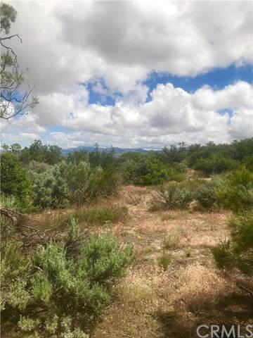 36924 Penny Lane - Photo 1