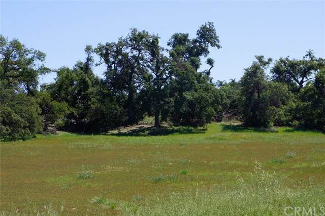 19646 Avenida De Arboles - Photo 1