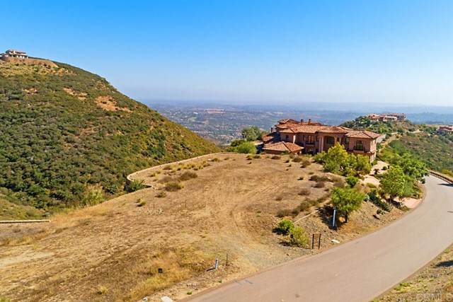 Lot 87D El Brazo - Photo 1