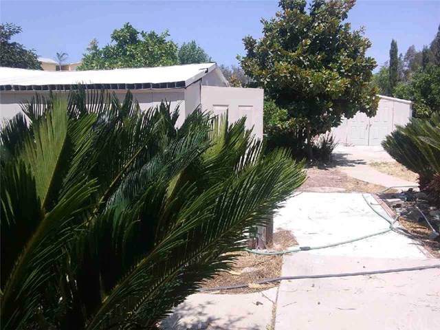 31220 Nicolas Road - Photo 1