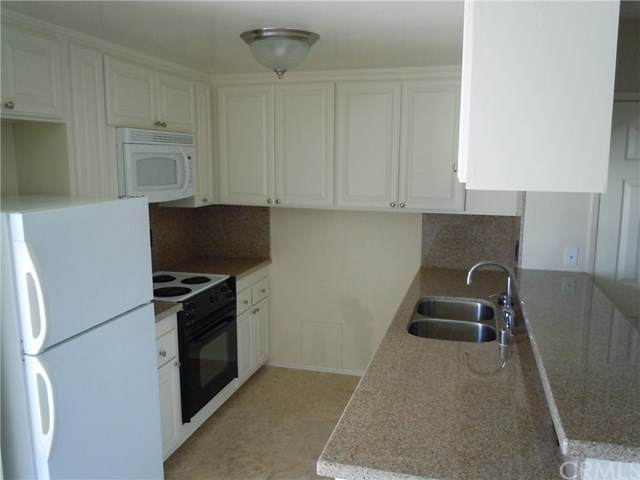 116 Paseo De La Concha - Photo 1