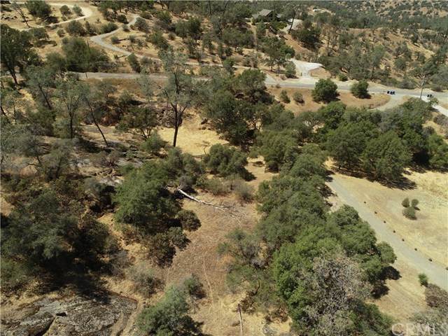 0-4.92AC Lilley Mountain Drive - Photo 1