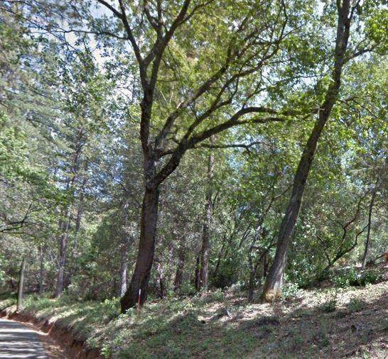 0 W Clinton Road - Photo 1