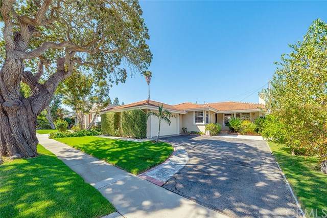 27057 Springcreek Road - Photo 1