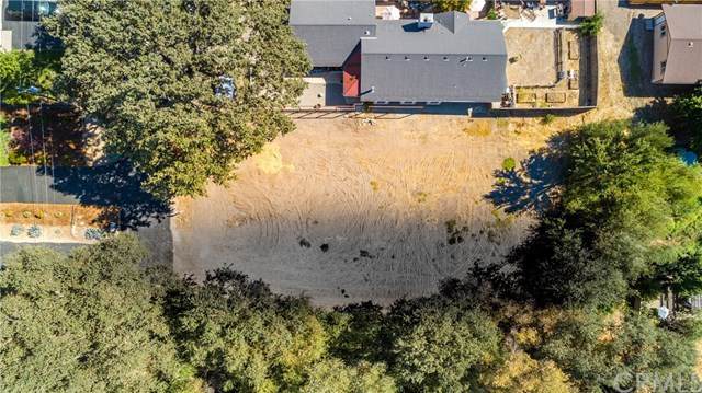 0 Forest Avenue - Photo 1