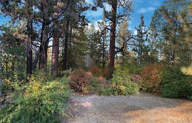 1121 Alta Vista Rd. - Photo 1