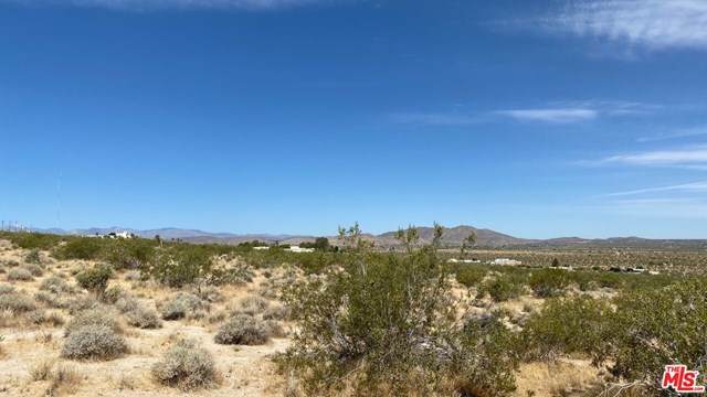 0 Twentynine Palms Highway - Photo 1