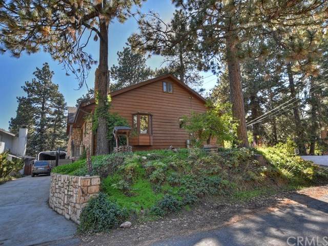 31211 All View Drive - Photo 1