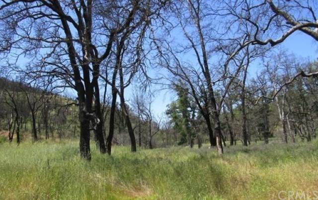 9600 Rocky Creek Road - Photo 1