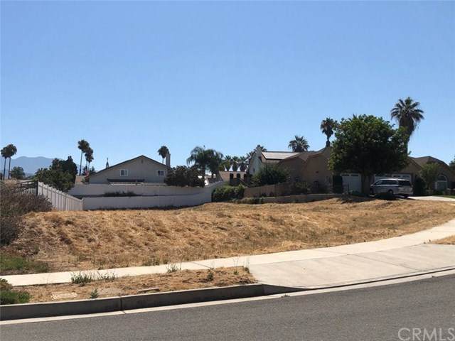 321 Silvertree Lane - Photo 1