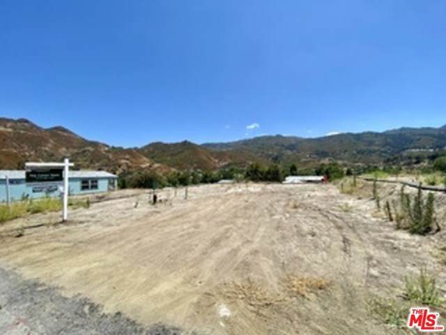 30473 Mulholland Highway - Photo 1