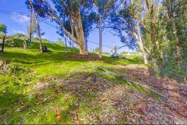0 Rocoso Road - Photo 1