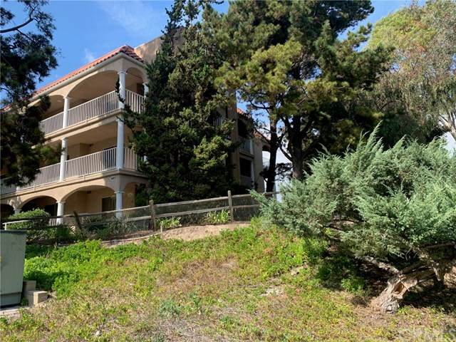 4001 Calle Sonora - Photo 1