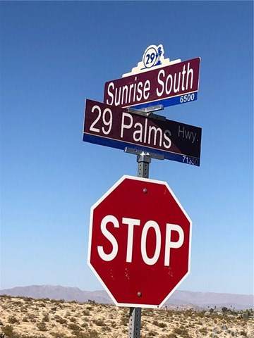 0 Twentynine Palms - Photo 1