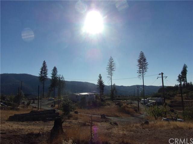 14768 Grouse Road - Photo 1