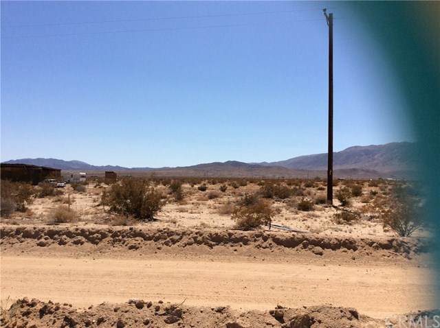 0 El Paseo - Photo 1
