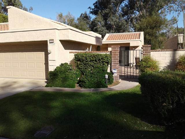 7732 Paseo Azulejo - Photo 1