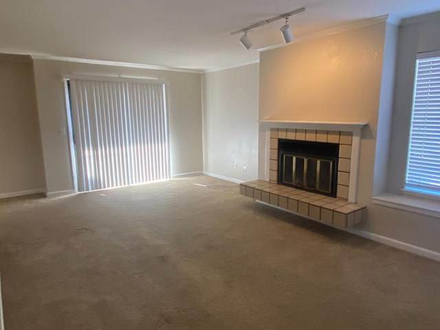2440 Main Street - Photo 1