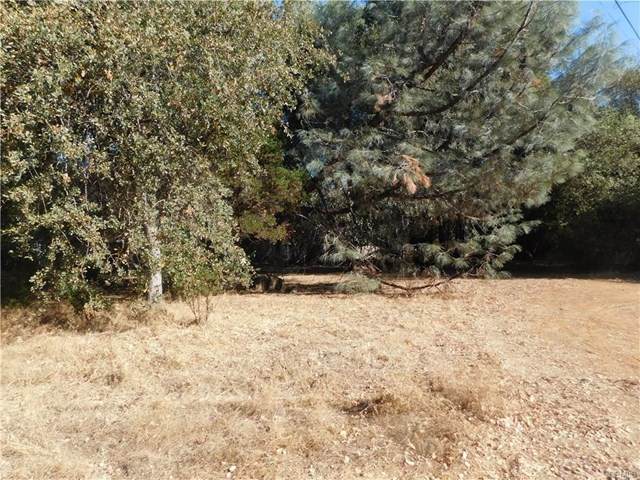15556 23rd Avenue - Photo 1