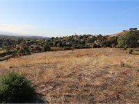1995 Old Calaveras Road - Photo 1