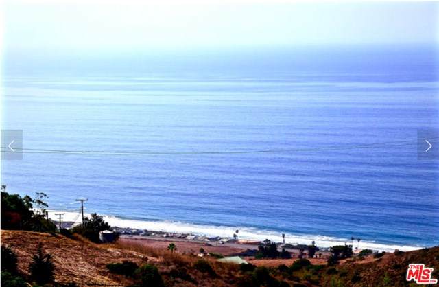 5635 Trancas Canyon Road - Photo 1