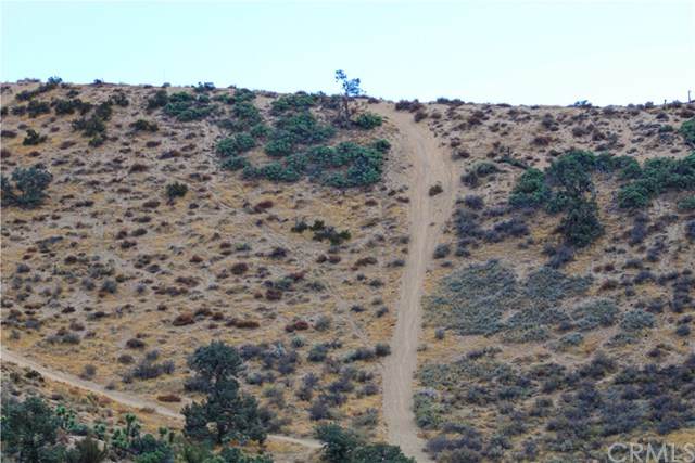 0 Deer Haven - Photo 1