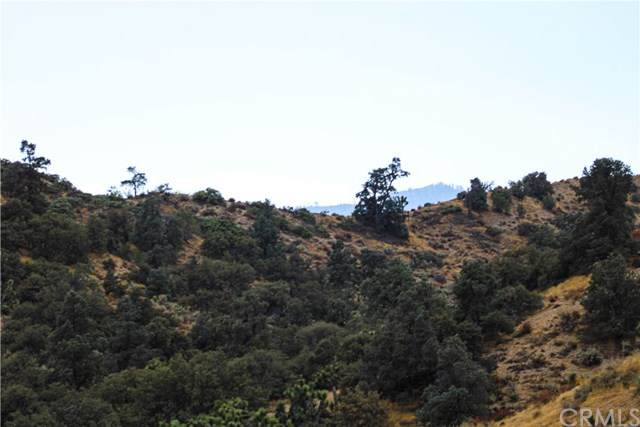 0 Deer Haven - Photo 1