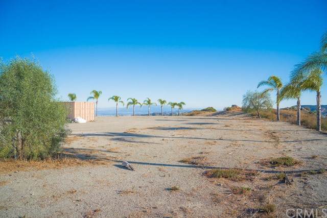 20150 Avenida De Arboles - Photo 1