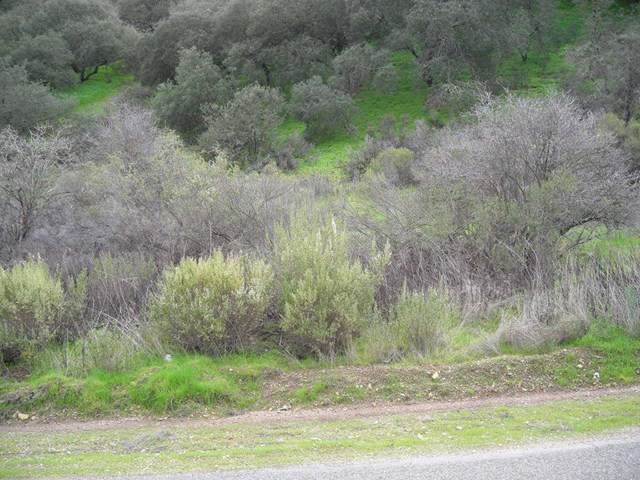 0 Lockwood San Lucas Road - Photo 1
