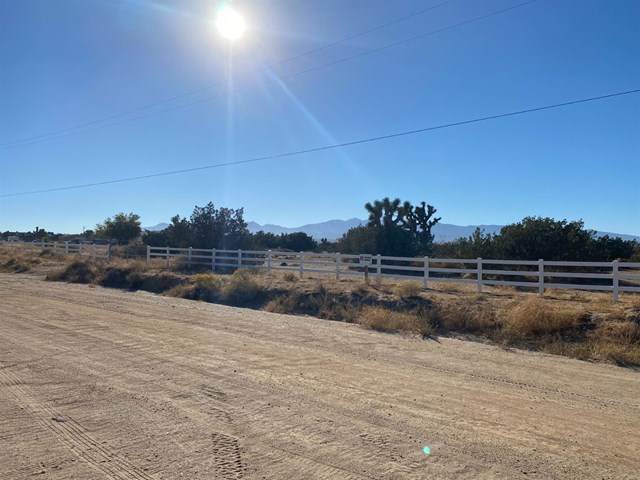 0 Bellflower Street - Photo 1